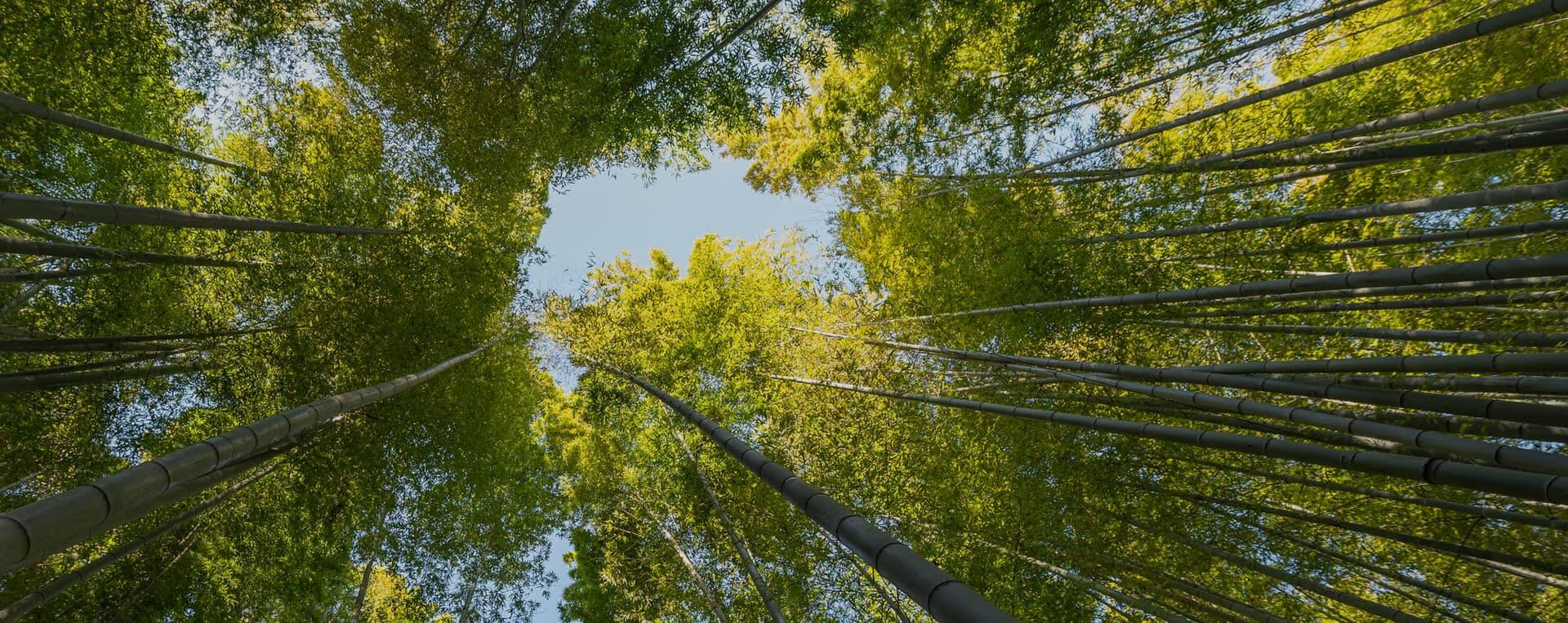 Responsables con el medio ambiente